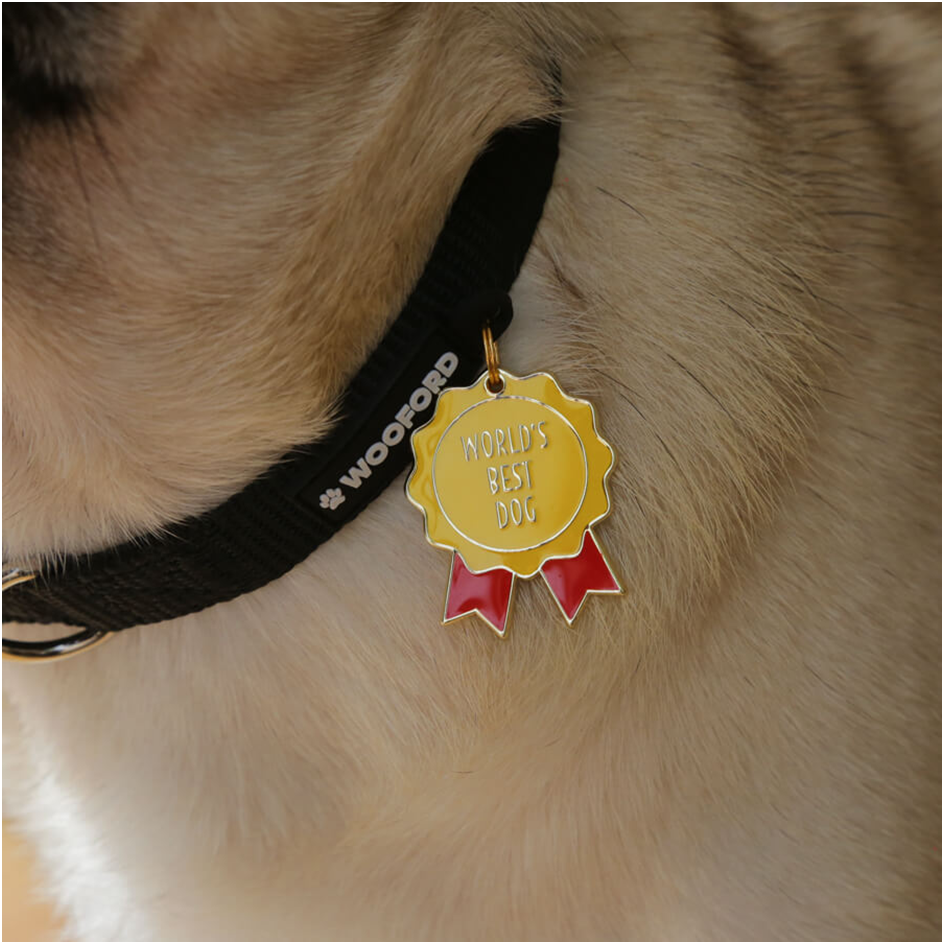 Close-up of a dog's neck with a black collar featuring a gold 'World's Best Dog' tag, showcasing personalised dog tags and dog tag engraving options.